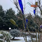 Terrie Larson - @terrie_larson7 - Instagram