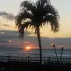 Terrie Mcallister-Lloyd - @terrie.mcallister - TikTok