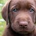 Terrie Meyer - Facebook