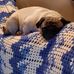 Terrie Miller - Facebook