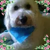 Terrie Miller-Shore - @terriemiller-shor - TikTok