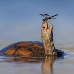 Terrie MIller Tenpenny - @terrietenpenny - Instagram