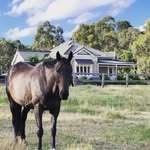 Terrie Morgan - @country_house_hunter - Instagram