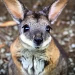 Terrie Morgan Sellick - @lilhuggaroo - Instagram