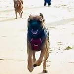 Terry Oneill - @terry.oneill.5283 - Instagram