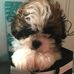 Terrie Perkins - Facebook