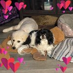 Terrie Tyler Perkins - @terrie.perkins - Instagram