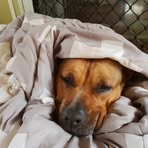Terrie Ray - Facebook