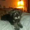 Terrie Rivers - @terrierivers408 - TikTok