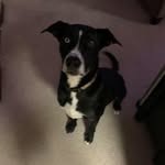 Bill Terrie Rose - @billrose383 - Instagram