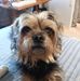 Terrie Ross - Facebook