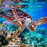 Terry Singleton - @terry.singleton.925 - Instagram