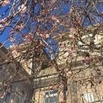Terri Springer - @springer.terri - Instagram