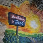 Terrie Stanley-Hammett - @texassnail - Instagram
