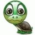 Terri Stein - Facebook