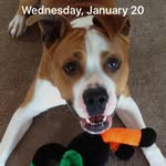 Terrie Stephens - @terrie.stephens.14 - Instagram