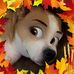Terrie Stephens - Facebook