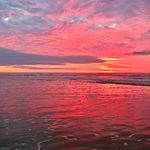 Terrie Stuart - @terriestuart - Instagram