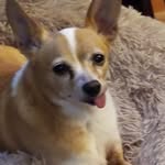 Terri Summers - @terrisummers23 - Instagram