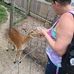 Terri Sutton - Facebook