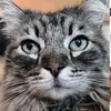 Terrie Taylor - @yourgirlterrayyy - TikTok