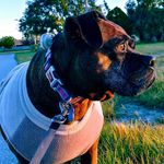Terri Torres - @tgsophie15tt - Instagram
