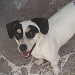 Terrie Ble Torres 🐕 - @terrie_ble - Instagram