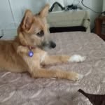 Terri Travis - @terri.travis.395 - Instagram