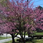 Terrie Wade - @twade2639 - Instagram