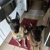 Terri Walter - @terri.walter55 - TikTok