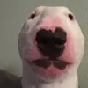 walter.nelson_terrie - @walter.nelson_terrier - TikTok