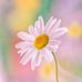 Terrie Waters - Facebook