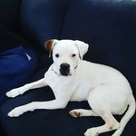 Terrie Waters-Dunlap - @grammyib - Instagram
