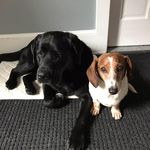 Terry Waters - @jtwaters4 - Instagram