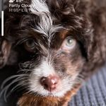 Thuy-Duong T Waters - @terriewaters2 - Instagram