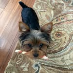 Terrie Watson - @terrielwatson - Instagram