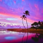 Terrie Watson - Facebook