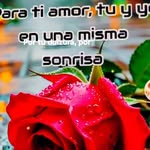 Terry Wayne - @terrymiller283 - Instagram