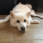 Terry Weaver - @terryweaver81 - Instagram