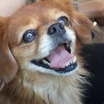 Terri Webster - @terri.webster.31 - Instagram