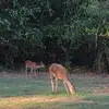 Terri West - @terri.west34 - TikTok