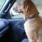 Terry Workman - @terryworkman57 - Instagram
