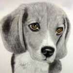 Terry Workman - @my3screen - Instagram