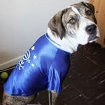 Terry WP Workman - @windowparts - Instagram