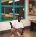 Tirrill Curtis - Facebook
