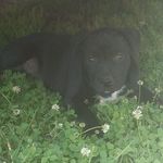 Terrill Parker - @gel_3k - Instagram