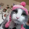 terrykyle3 - @terrykyle3 - TikTok
