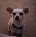 Terry Abell - Facebook