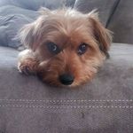 Terry Acker - @terryacker7 - Instagram