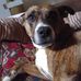 Teresa Acord - Facebook